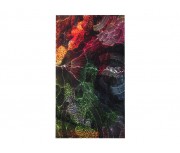 Bandana Abstrata Coral